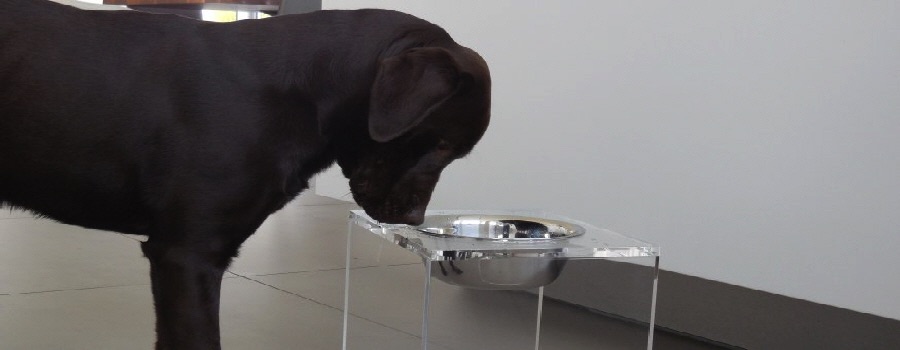 Artikelhauptkategorie_Ben-an-der-PB-1_DSCN9736_875x425_1